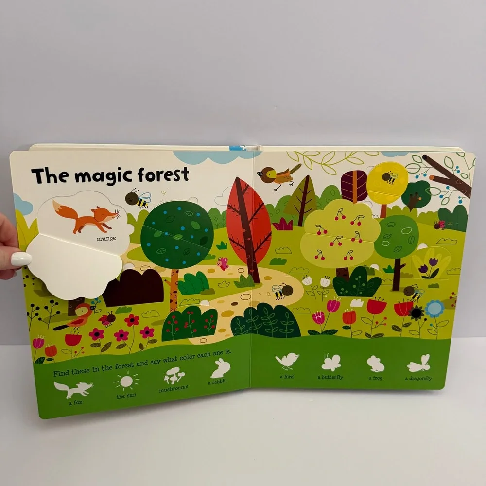 Usborne Lift-the-flap Book Set First Math Colors Numbers